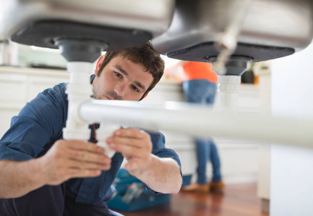 Best Clogged Drain Plumber  in Avilla, AR